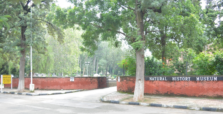 Natural History Museum | Museum of India
